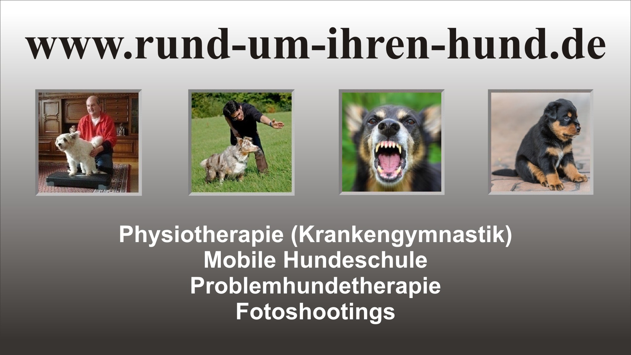 Infos zu Hundephysiotherapie, mobile Hundeschule, Problemhundetherapie, Fotoshootings